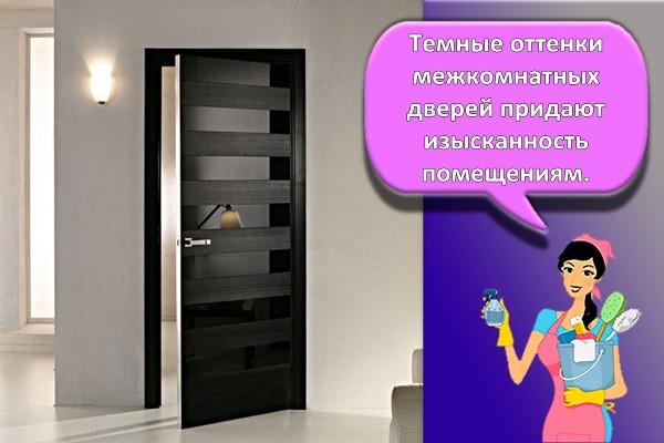 темные двери