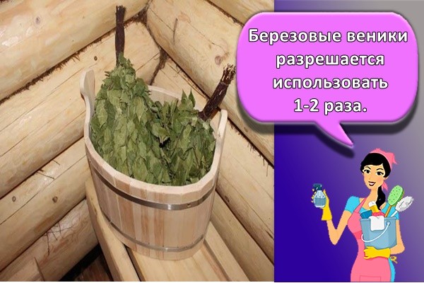 Березовые веники разрешается использовать 1-2 раза.