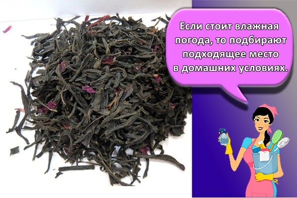 Если стоит влажная погода, то подбирают подходящее место в домашних условиях.