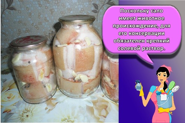 Поскольку сало имеет животное происхождение, для его консервации обязателен крепкий солевой раствор