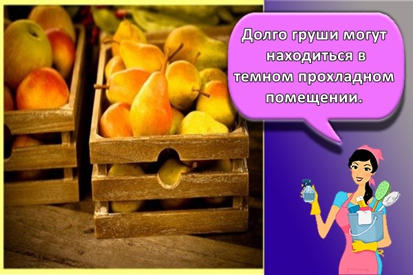 Долго груши могут находиться в темном прохладном помещении.