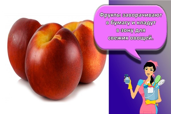 Фрукты заворачивают в бумагу и кладут в зону для свежих овощей.
