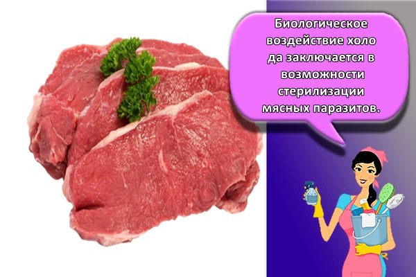 Биологическое воздействие холода заключается в возможности стерилизации мясных паразитов.