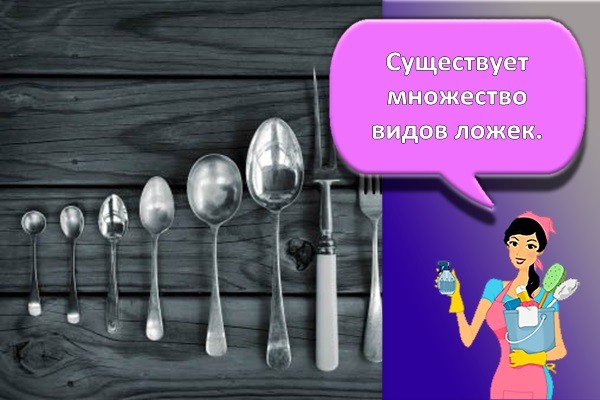 виды ложек