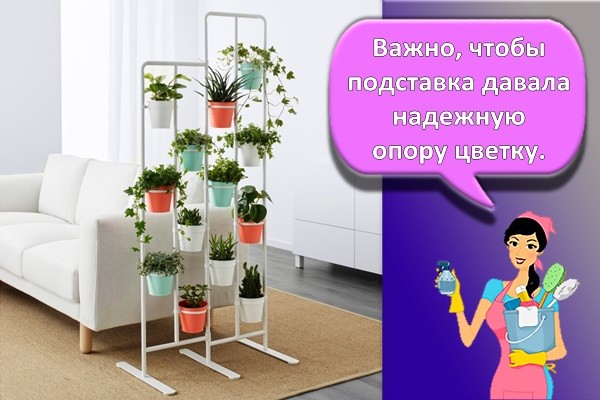 цветы в горшках