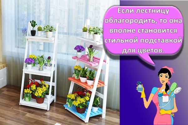 лестница