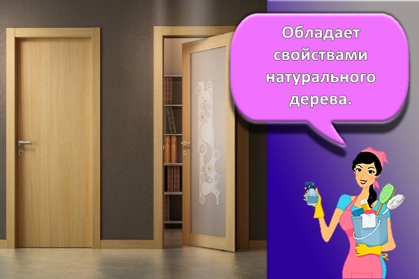двери шпон