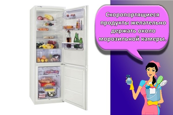 Скоропортящиеся продукты желательно держать около морозильной камеры.