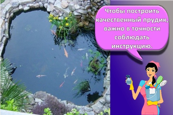 домашний пруд