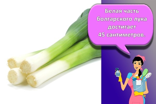 Болгарский