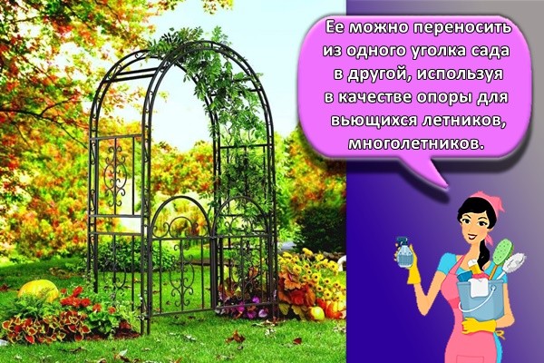 Ее можно переносить из одного уголка сада в другой, используя в качестве опоры для вьющихся летников, многолетников.