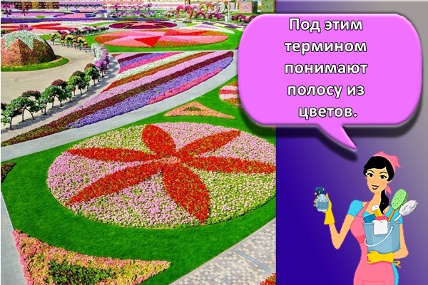 Под этим термином понимают полосу из цветов.