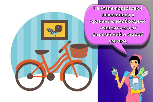 На этапе подготовки велосипеда к хранению необходимо очистить его от загрязнений и старой смазки