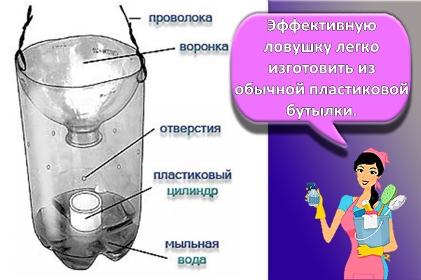 пластиковая бутылка