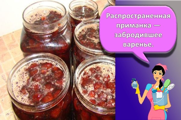 забродившее варенье
