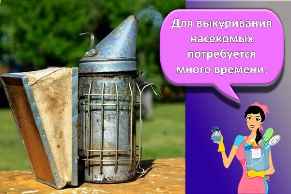 окуривание дымом