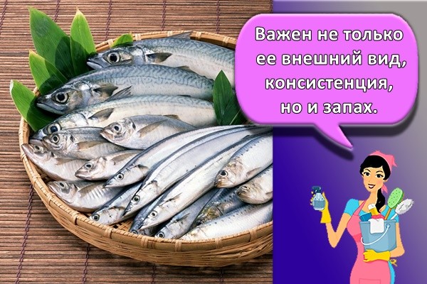 Важен не только ее внешний вид, консистенция, но и запах.