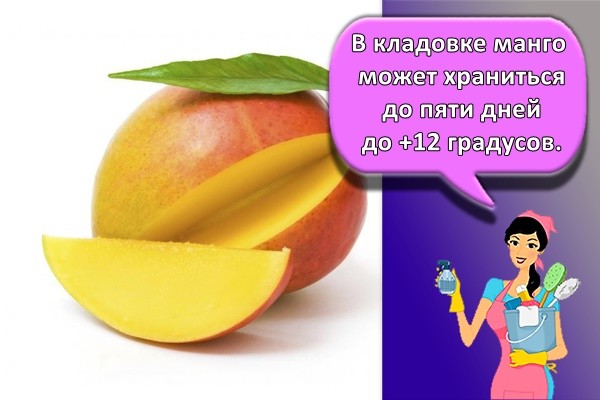 В кладовке манго может храниться до пяти дней до +12 градусов.