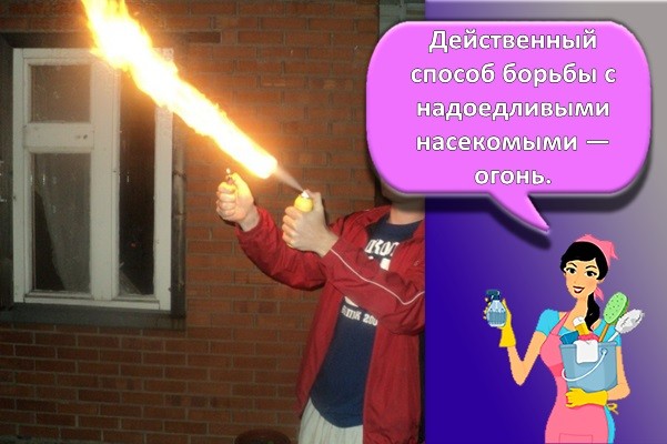 сжигание гнезда