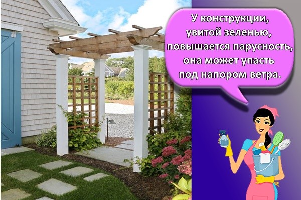 У конструкции, увитой зеленью, повышается парусность, она может упасть под напором ветра.