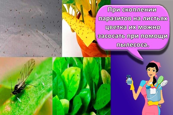 при помощи пылесоса