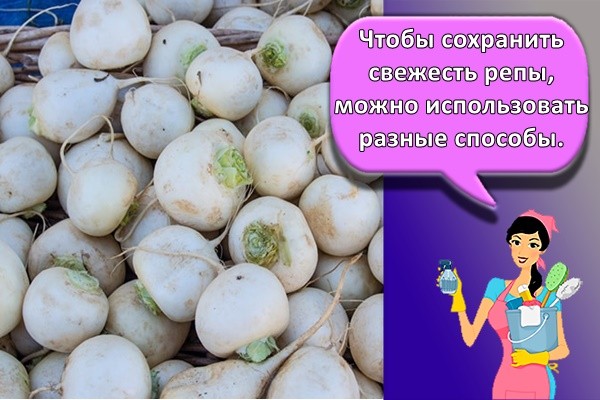 Чтобы сохранить свежесть репы, можно использовать разные способы.