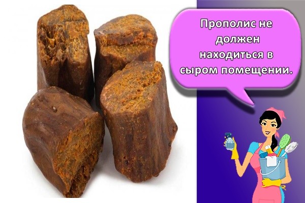 Прополис не должен находиться в сыром помещении.