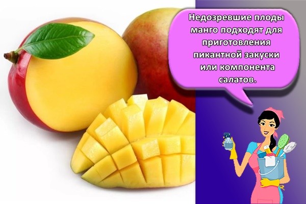 Недозревшие плоды манго подходят для приготовления пикантной закуски или компонента салатов.