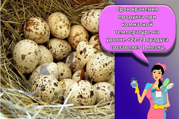 Срок хранения продукта при комнатной температуре на уровне +22-24 градуса составляет 1 месяц.