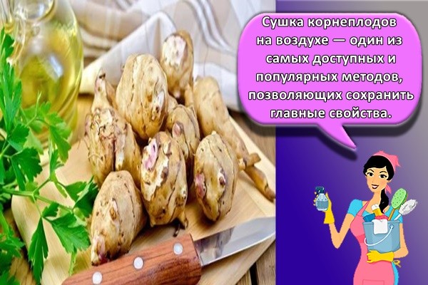 Сушка корнеплодов на воздухе — один из самых доступных и популярных методов, позволяющих сохранить главные свойства.