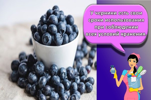 У черники есть свои сроки использования при соблюдении всех условий хранения.