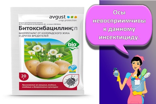 от ос