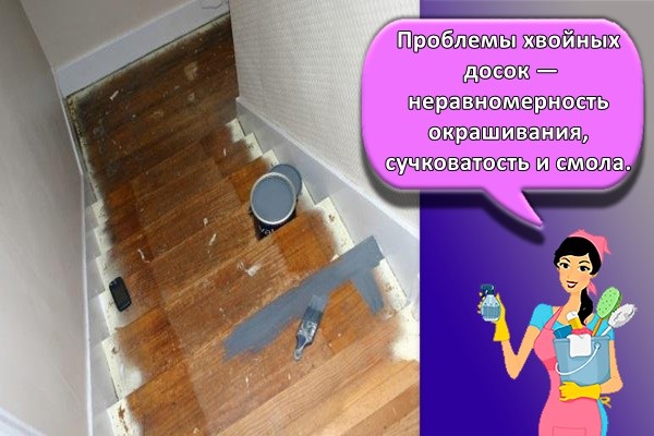 Проблемы хвойных досок — неравномерность окрашивания, сучковатость и смола.