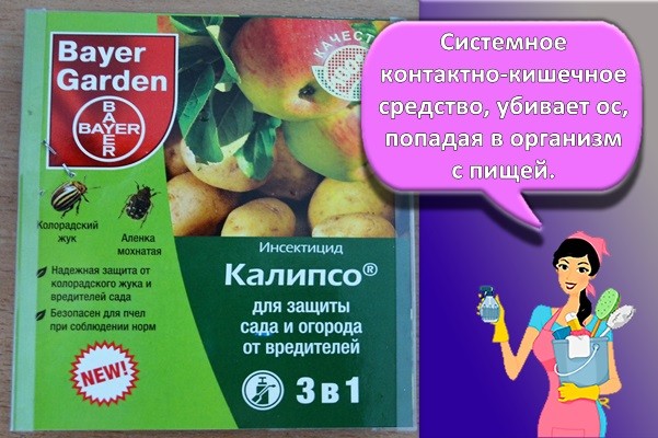 калипсо