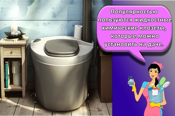 Популярностью пользуются жидкостные химические клозеты, которые можно установить на даче.