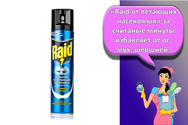рейд