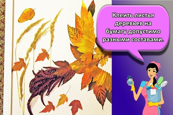 Клеить листья деревьев на бумагу допустимо разными составами.