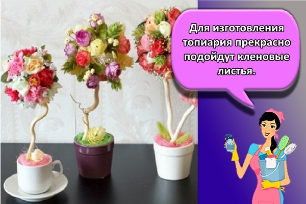 Для изготовления топиария прекрасно подойдут кленовые листья.