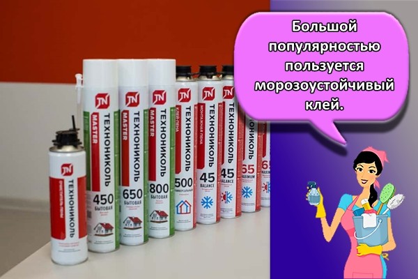 Большой популярностью пользуется морозоустойчивый клей.