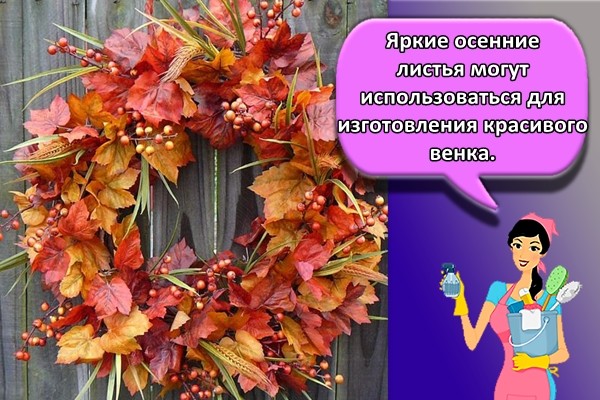 Яркие осенние листья могут использоваться для изготовления красивого венка.