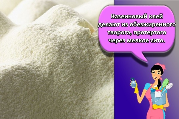 Казеиновый клей делают из обезжиренного творога, протертого через мелкое сито.