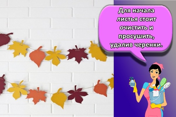 Для начала листья стоит очистить и просушить, удалив черенки.