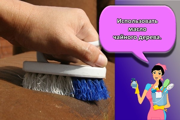 Использовать масло чайного дерева.
