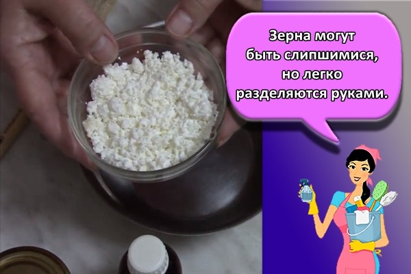 Зерна могут быть слипшимися, но легко разделяются руками.