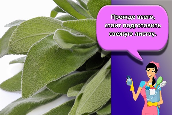 Прежде всего, стоит подготовить свежую листву.