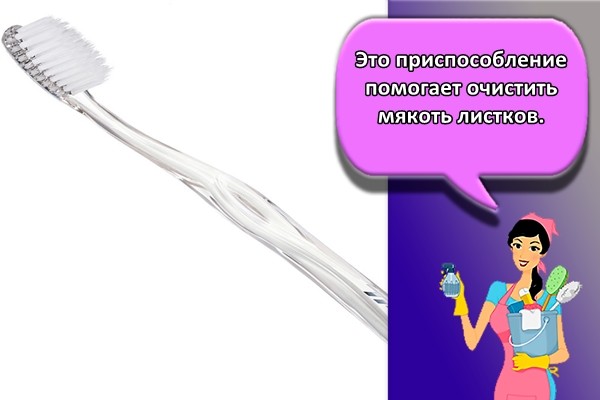 Это приспособление помогает очистить мякоть листков.