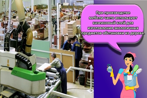При производстве мебели часто используют казеиновый клей для изготовления экологичных предметов обстановки из дерева.