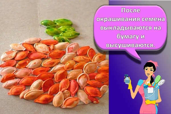 крашеные семечки