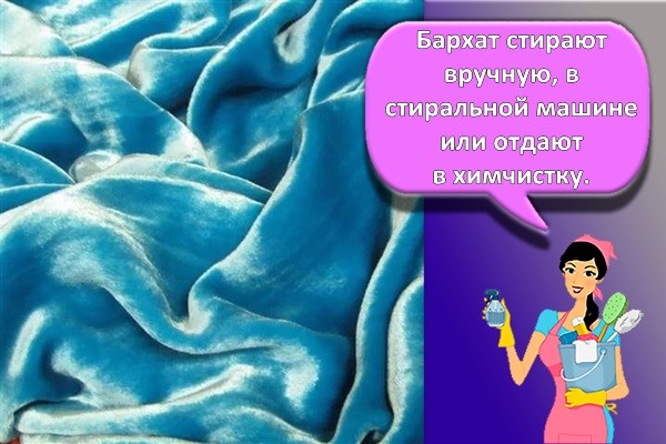 голубой бархат