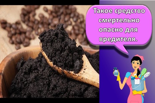 Такое средство смертельно опасно для вредителя.